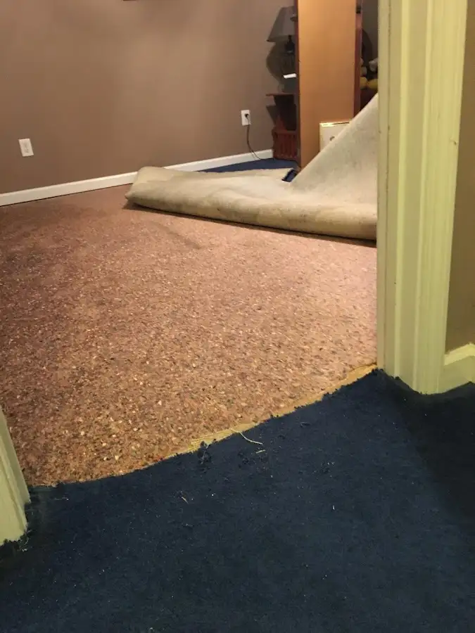 Carpet pad removal revealing water damage during Water Mitigation Services in Ridley Park