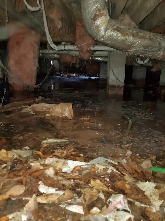 Crawl space flood assessment for Leak Detection & Repair in Ridley Park
